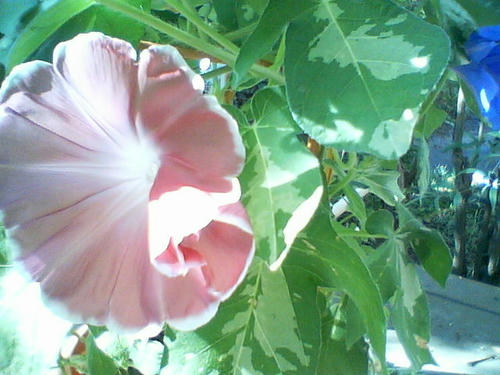 200808120752.jpg