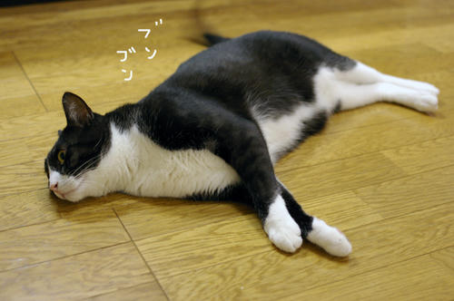 IMGP0850.JPG
