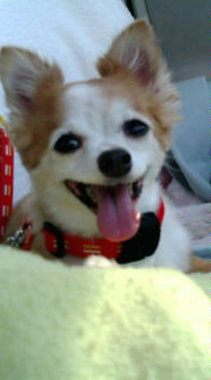 decoimage_M007.jpg