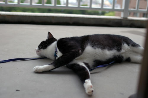 IMGP0858.JPG