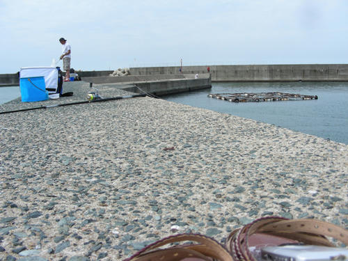 DSCN1564.JPG