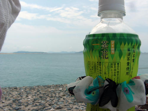 DSCN1565.JPG