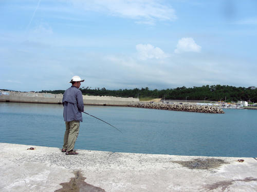 DSCN1567.JPG