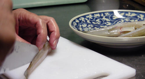 DSCN1580.JPG