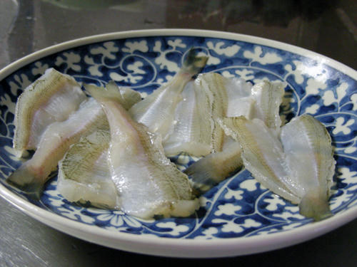 DSCN1582.JPG
