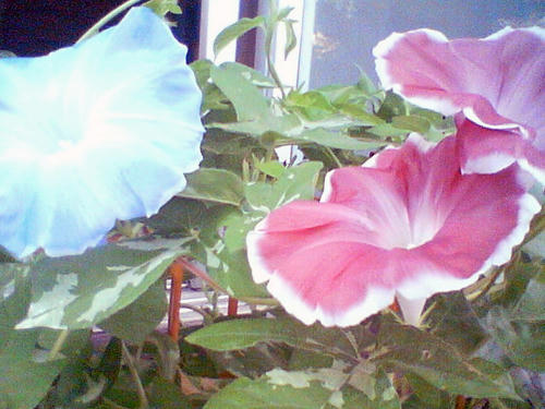 200808160631.jpg