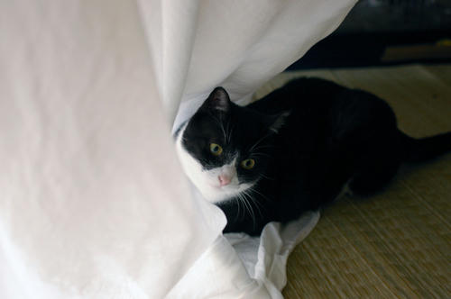 IMGP0915.JPG
