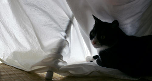 IMGP0917.JPG