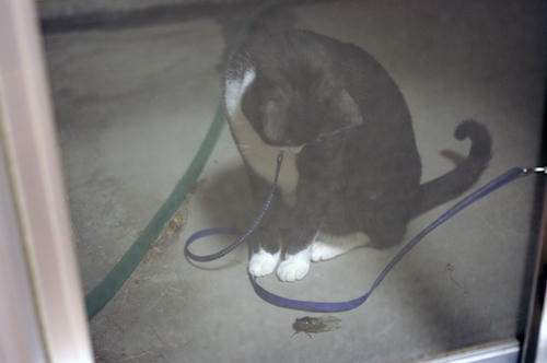 IMGP0924.JPG