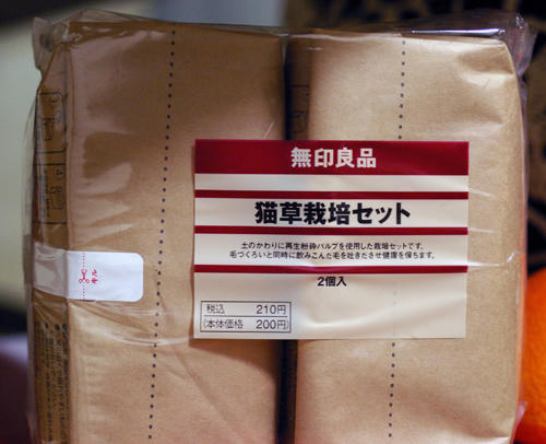 IMGP0960.JPG
