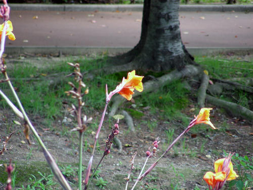 DSCN1590.JPG