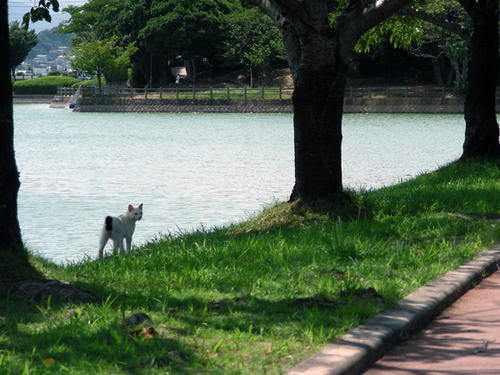 DSCN1616.JPG