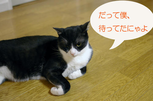IMGP0966.JPG