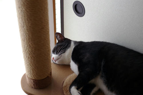 IMGP0994.JPG