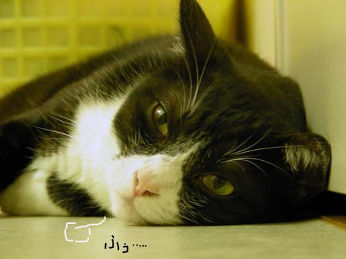 DSCN1488.JPG