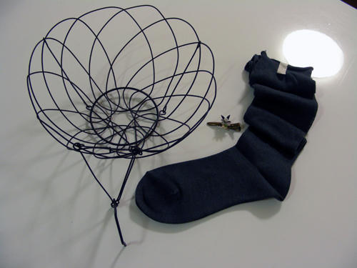 DSCN1704.JPG