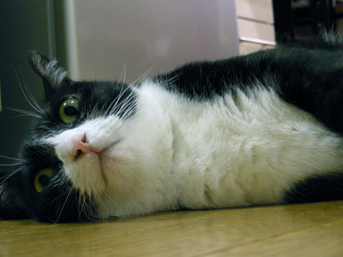 DSCN1759.JPG