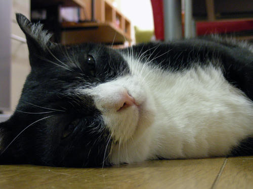 DSCN1760.JPG