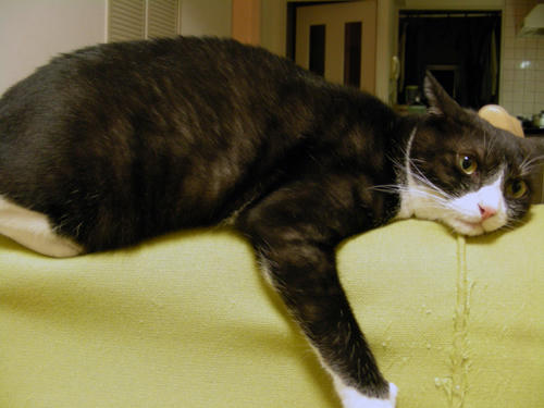 DSCN1767.JPG