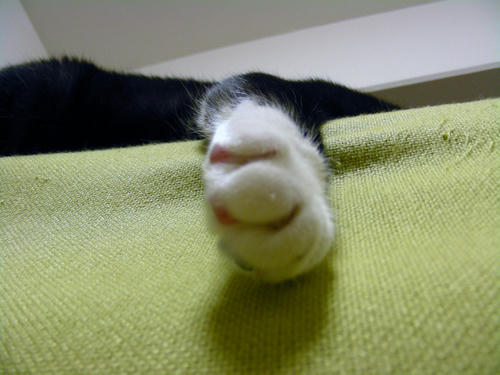 DSCN1768.JPG