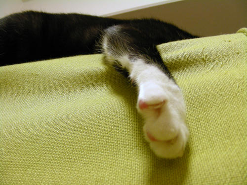 DSCN1769.JPG