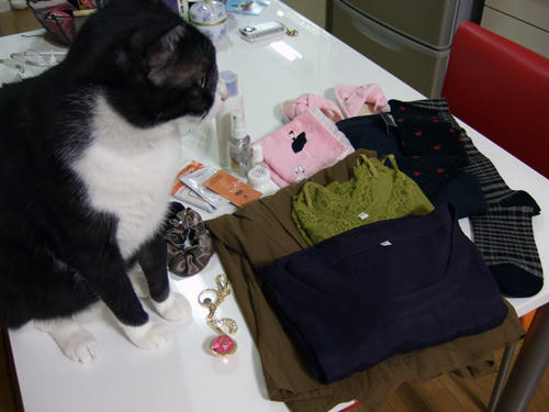 DSCF0052.jpg