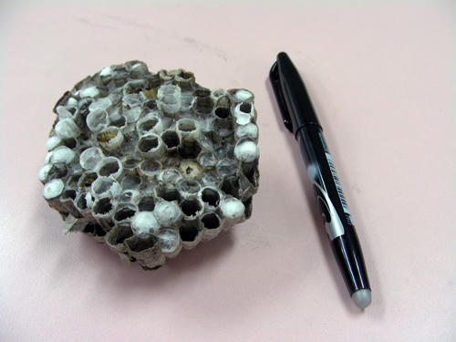 DSCN1779.JPG