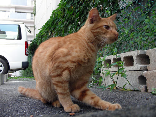 DSCN1781.JPG