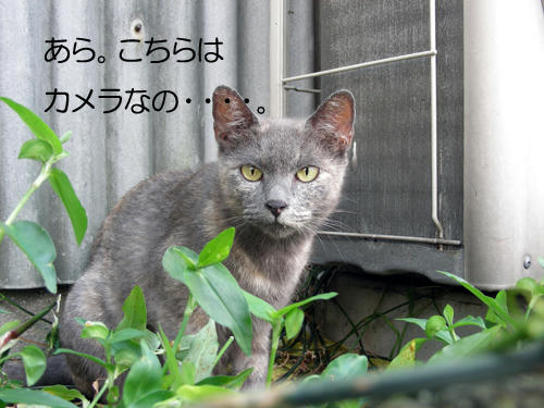DSCN1784.JPG