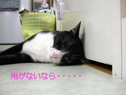 DSCF0047.jpg