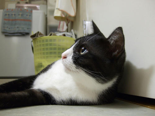 DSCF0049.jpg