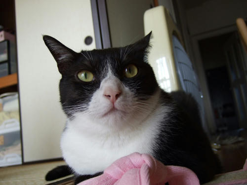 DSCF0095.jpg