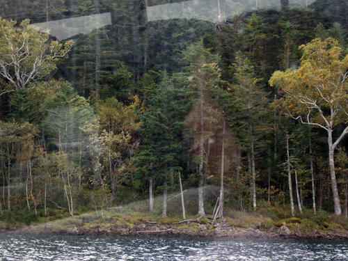 DSCF0161.jpg
