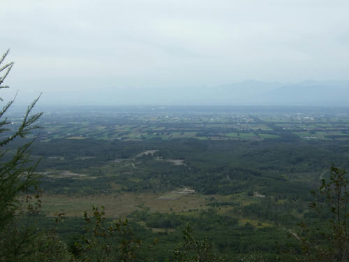DSCF0175.jpg