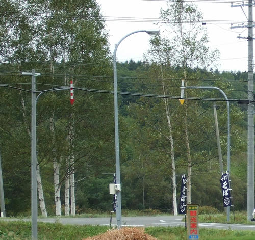 f5b1d754.jpg