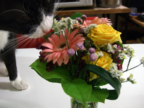 DSCF0242.jpg