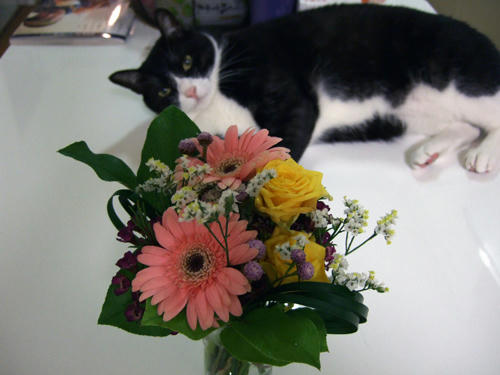 DSCF0243.jpg