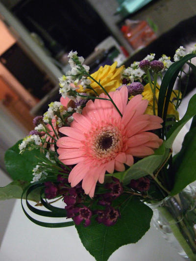 DSCF0247.jpg