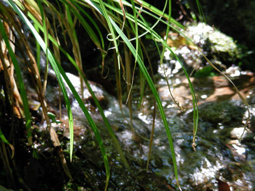 DSCN1824.jpg