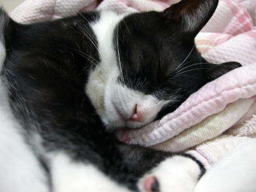 DSCF0362.JPG