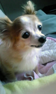 080927_180208.jpg