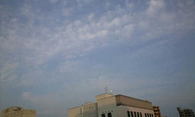 081003_1655~0001.jpg