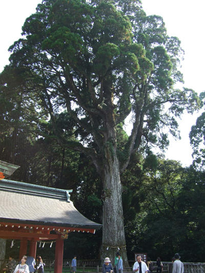 DSCF0391.JPG