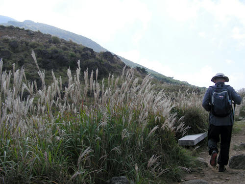 DSCN1881.JPG