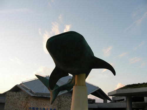 e5bb3d78.JPG