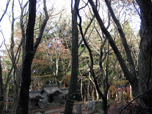 DSCN2180.JPG
