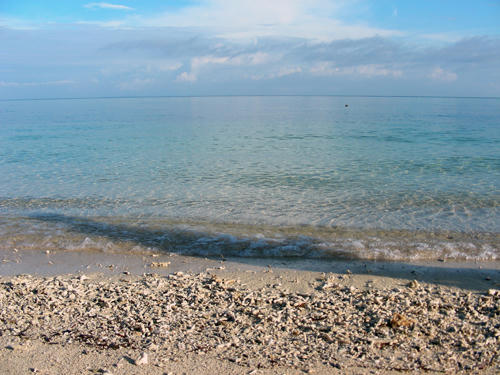 DSCN2049.JPG