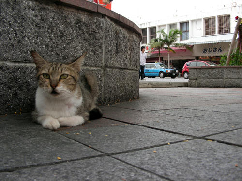 DSCN2137.JPG