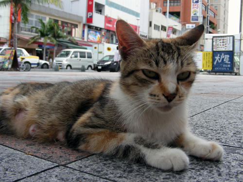 DSCN2139.JPG
