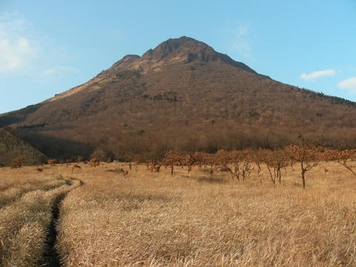 DSCN2233.JPG